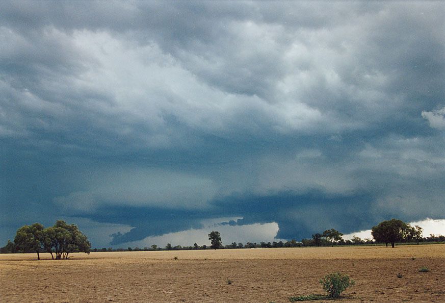 cumulonimbus supercell_thunderstorm : 40km SW of Walgett, NSW   8 December 2004