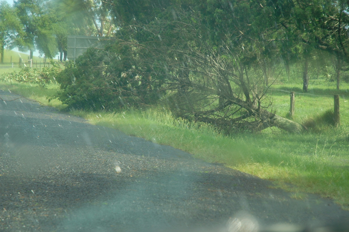 disasters storm_damage : near Bangalow, NSW   13 December 2004