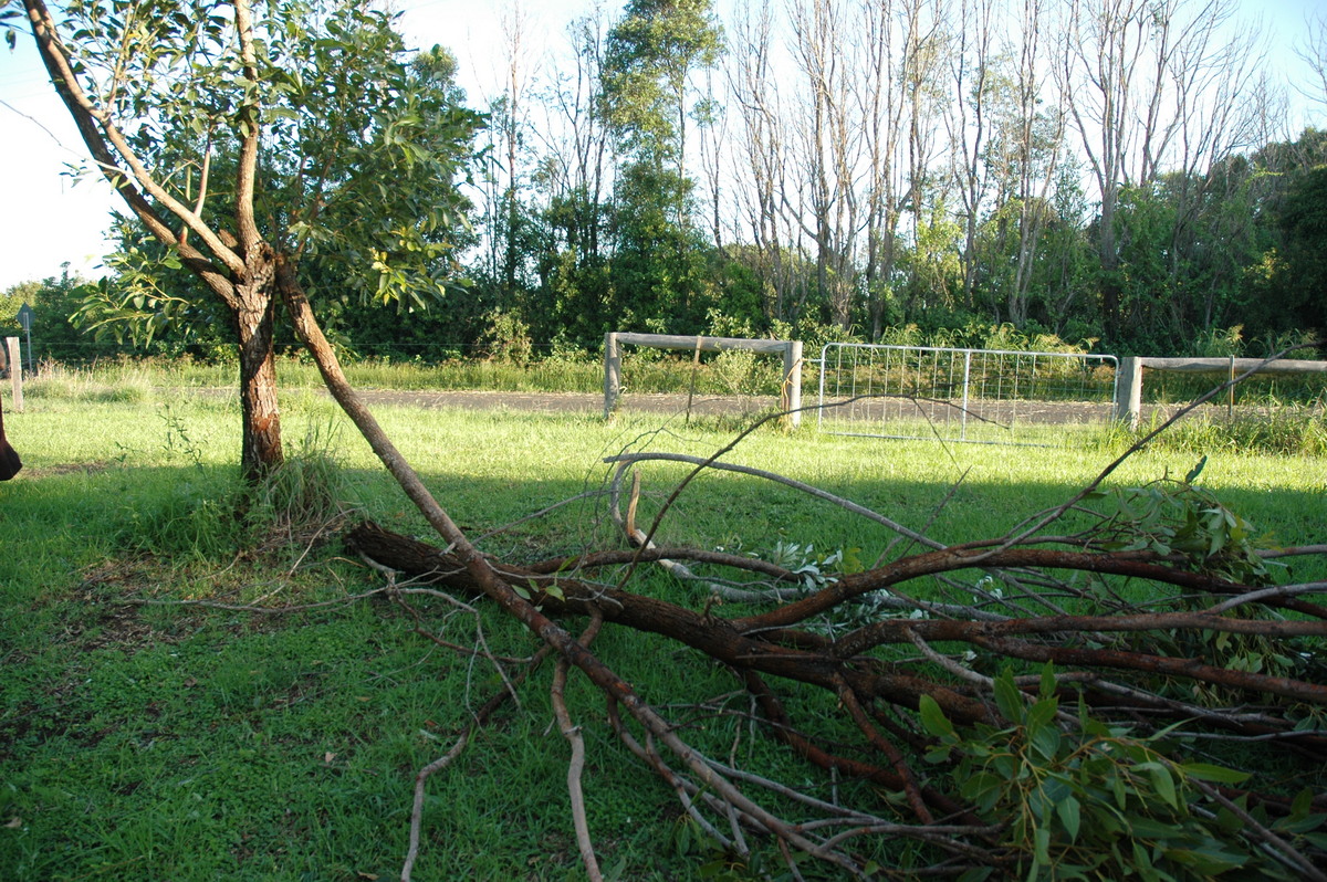disasters storm_damage : McLeans Ridges, NSW   13 December 2004