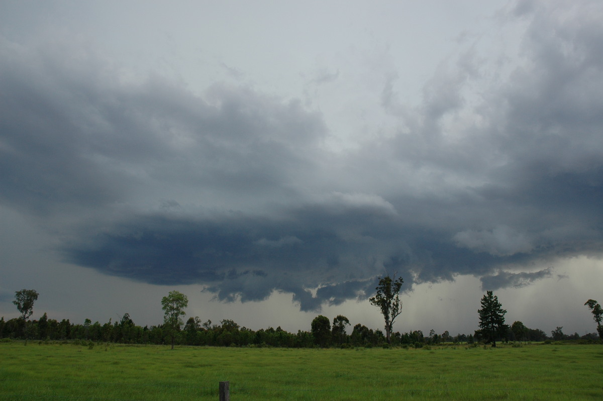 cumulonimbus thunderstorm_base : near Whiporie, NSW   19 December 2004