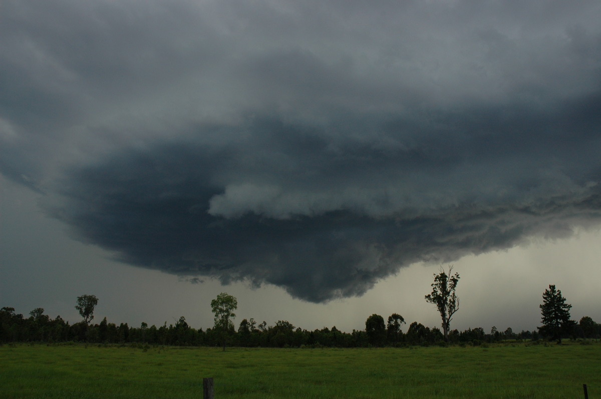 cumulonimbus thunderstorm_base : near Whiporie, NSW   19 December 2004