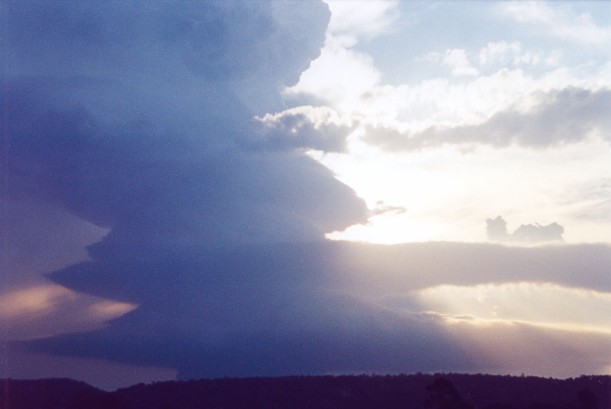 wallcloud thunderstorm_wall_cloud : Penrith, NSW   1 February 2005