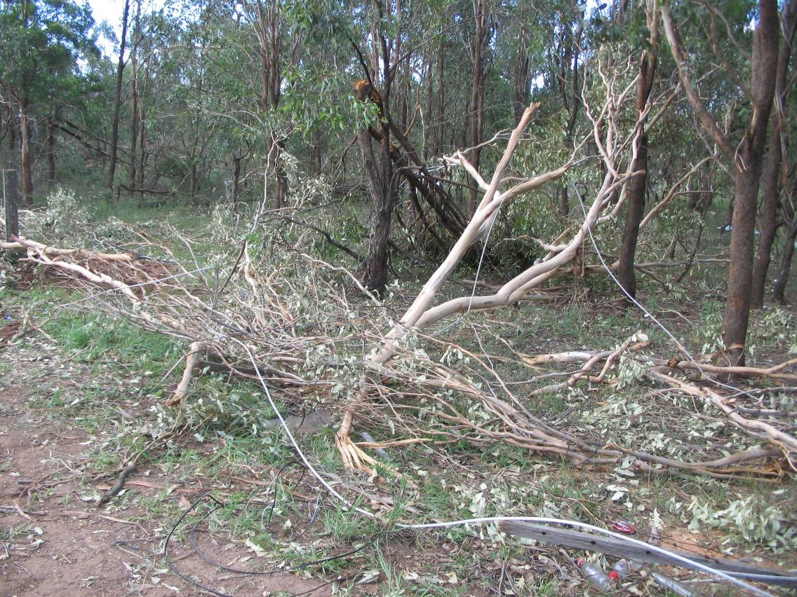 disasters storm_damage : Marsden Park, NSW   5 February 2005