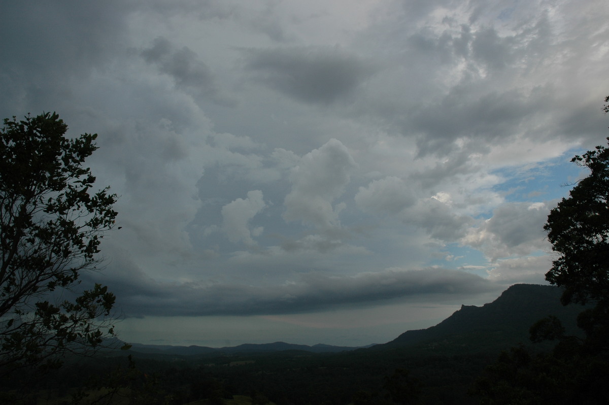 inflowband thunderstorm_inflow_band : N of Nimbin, NSW   22 February 2005