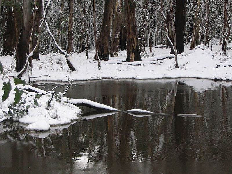 snow snow_pictures : near Oberon, NSW   10 July 2005
