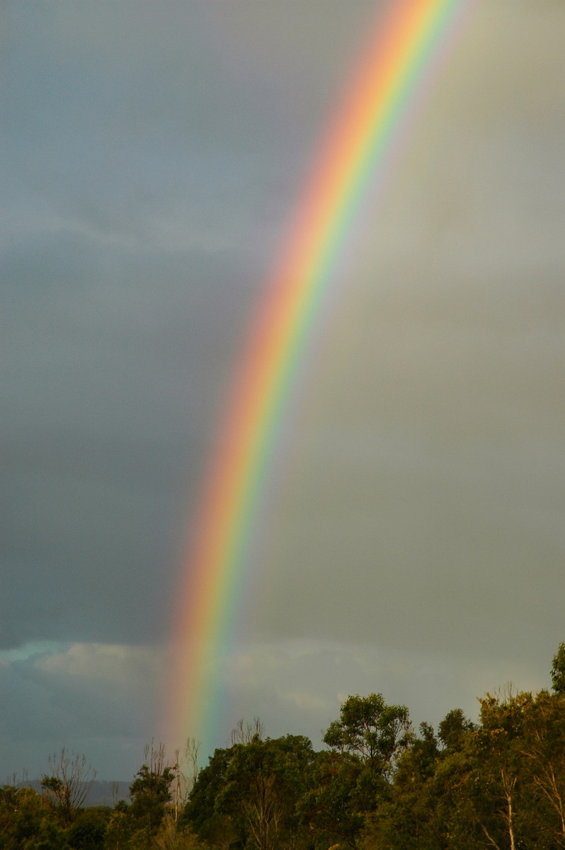 rainbow rainbow_pictures : McLeans Ridges, NSW   21 July 2005