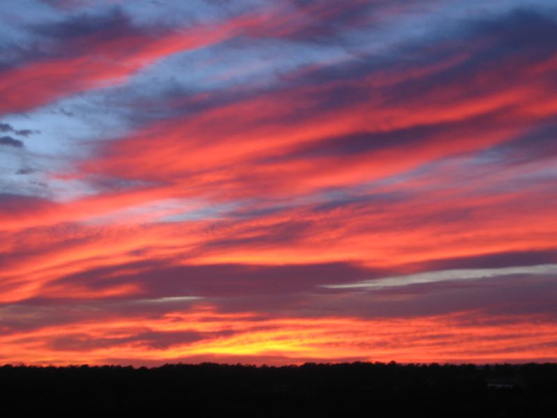 sunrise sunrise_pictures : Schofields, NSW   19 August 2005