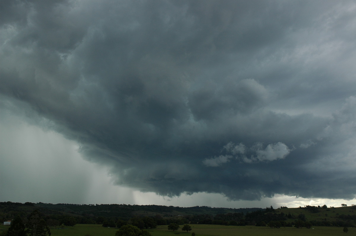 wallcloud thunderstorm_wall_cloud : near Lismore, NSW   29 November 2005
