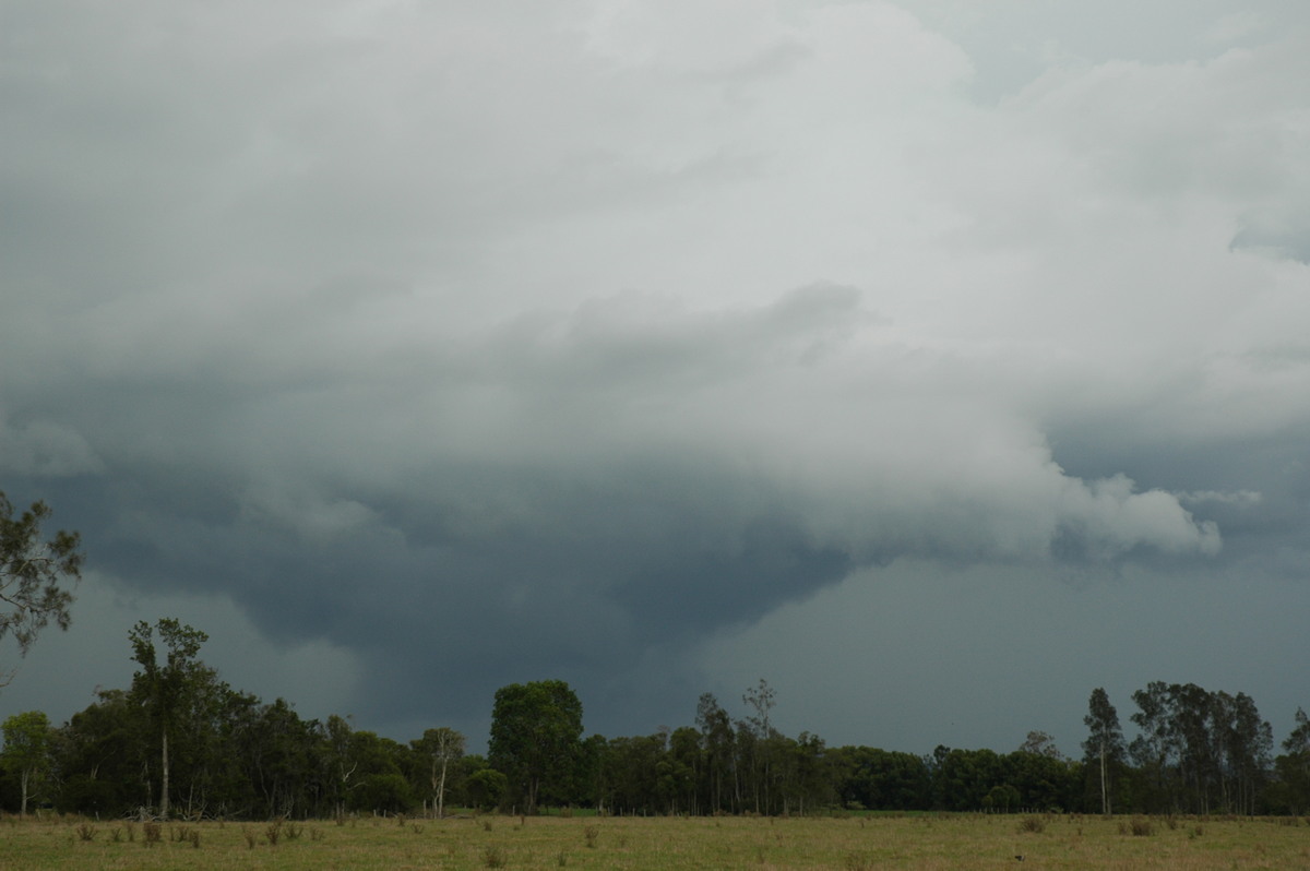 wallcloud thunderstorm_wall_cloud : S of Lismore, NSW   1 December 2005