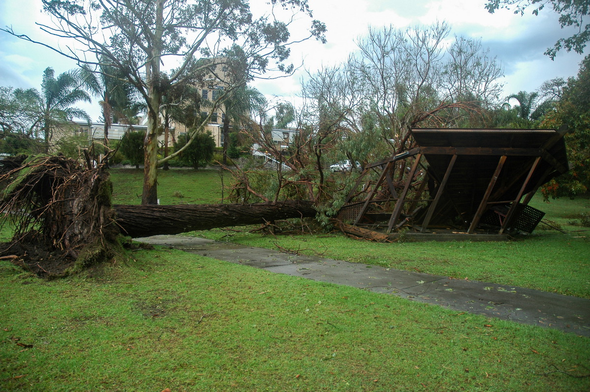 disasters storm_damage : Maclean, NSW   1 December 2005