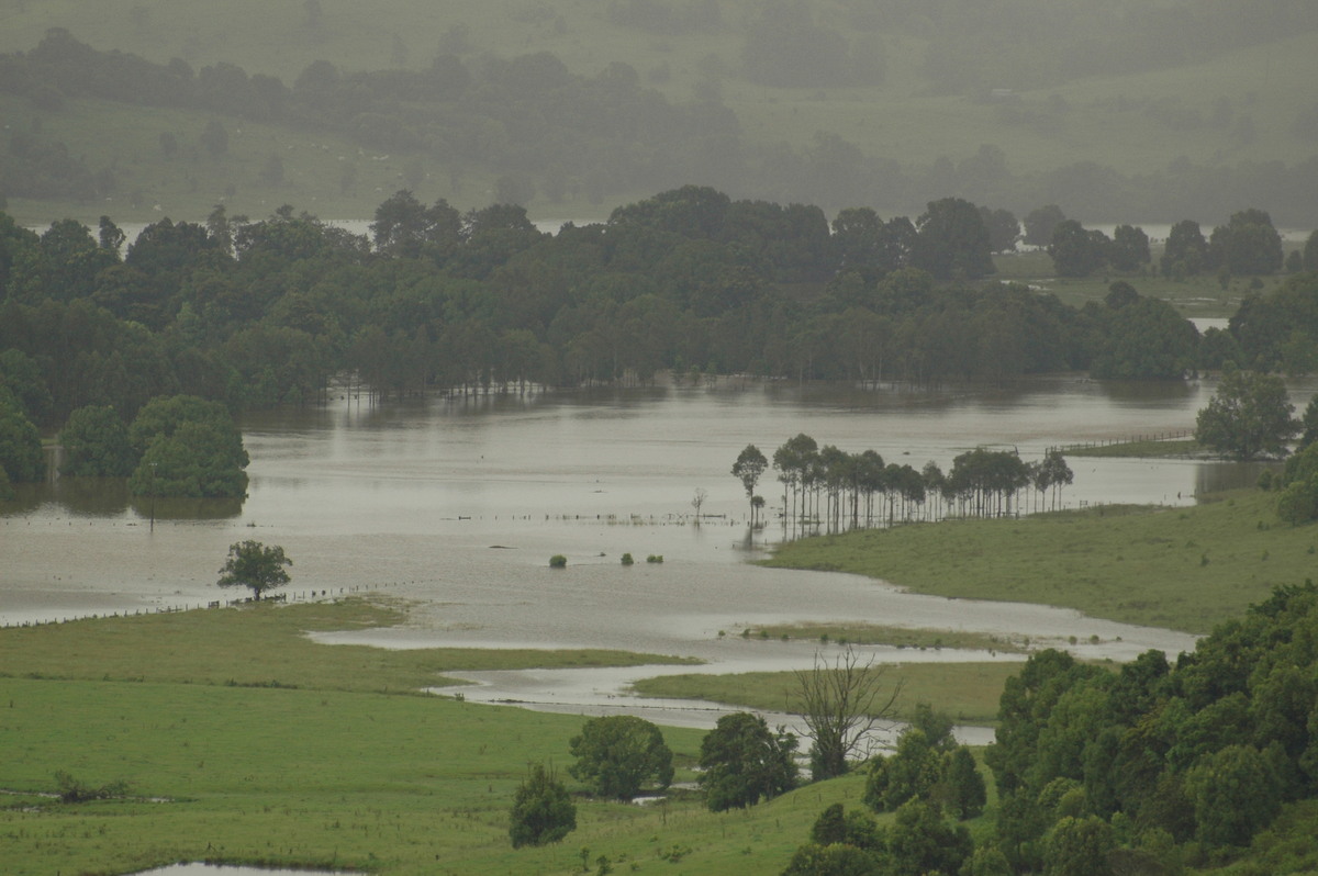 flashflooding flood_pictures : McLeans Ridges, NSW   20 January 2006
