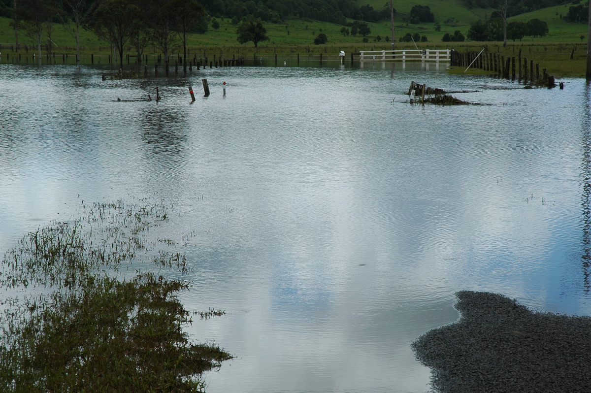 flashflooding flood_pictures : McLeans Ridges, NSW   21 January 2006