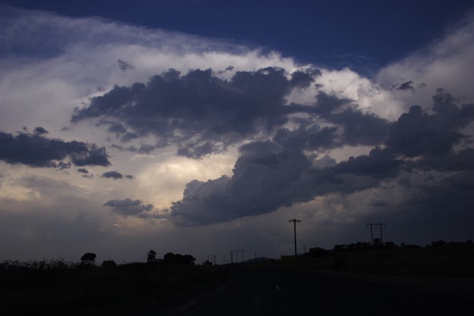 thunderstorm cumulonimbus_incus : W of Gulgong, NSW   24 January 2006