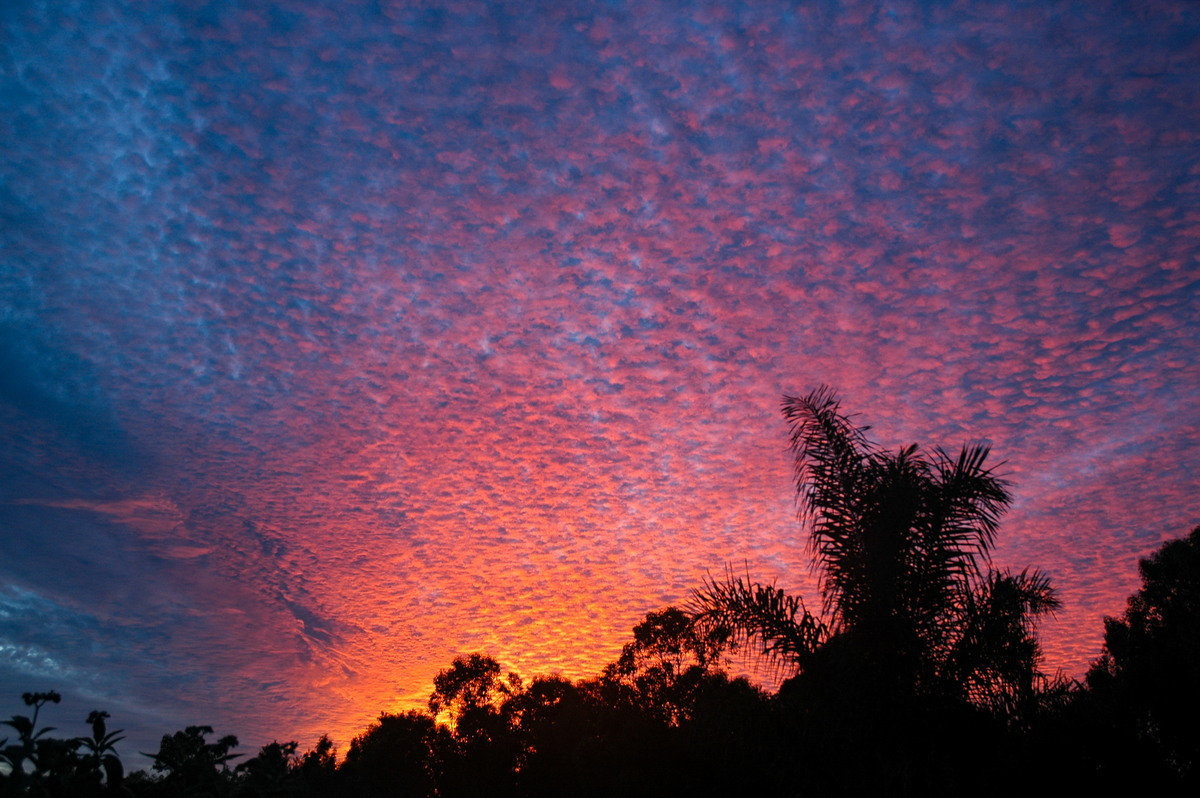 sunrise sunrise_pictures : McLeans Ridges, NSW   7 March 2006