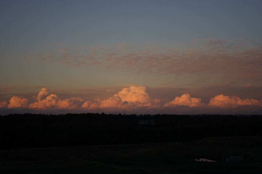 cumulus mediocris : Schofields, NSW   25 June 2006