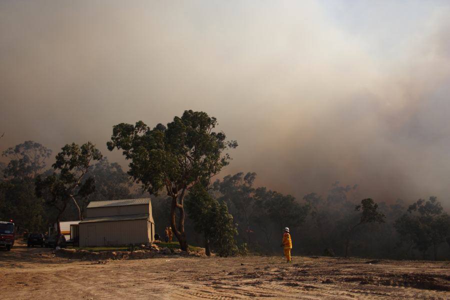 bushfire wild_fire : Pacific Park, NSW   24 September 2006