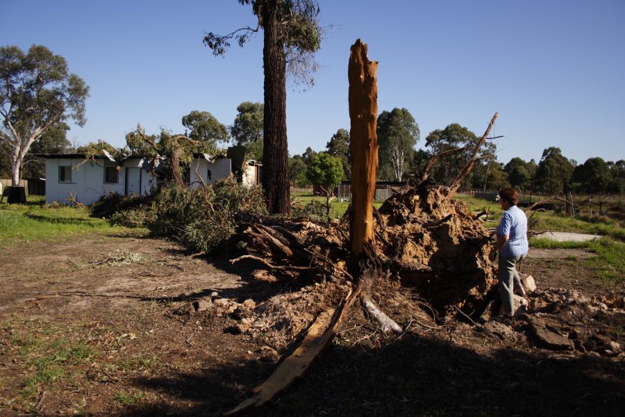 disasters storm_damage : Londonderry, NSW   25 September 2006