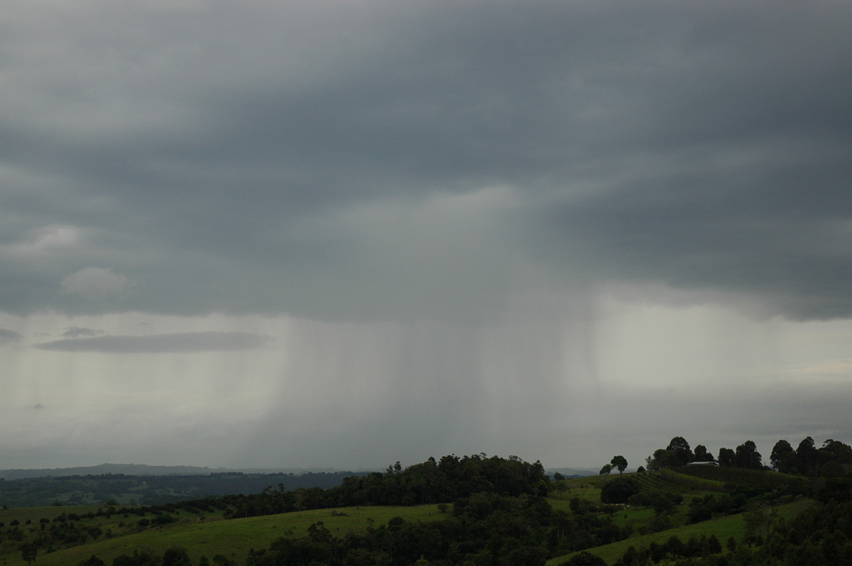 raincascade precipitation_cascade : McLeans Ridges, NSW   3 November 2006