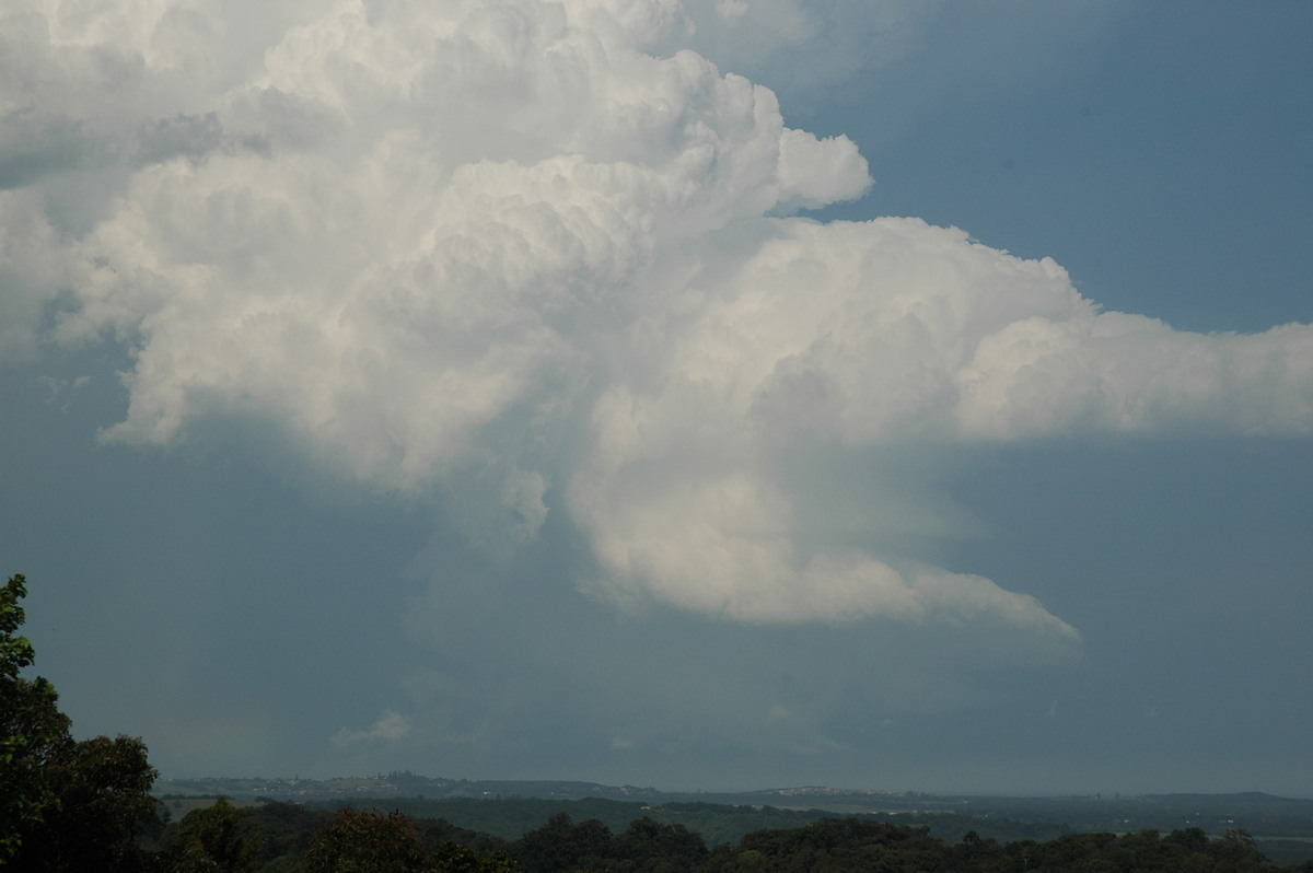 cumulonimbus supercell_thunderstorm : Alstonville, NSW   15 November 2006
