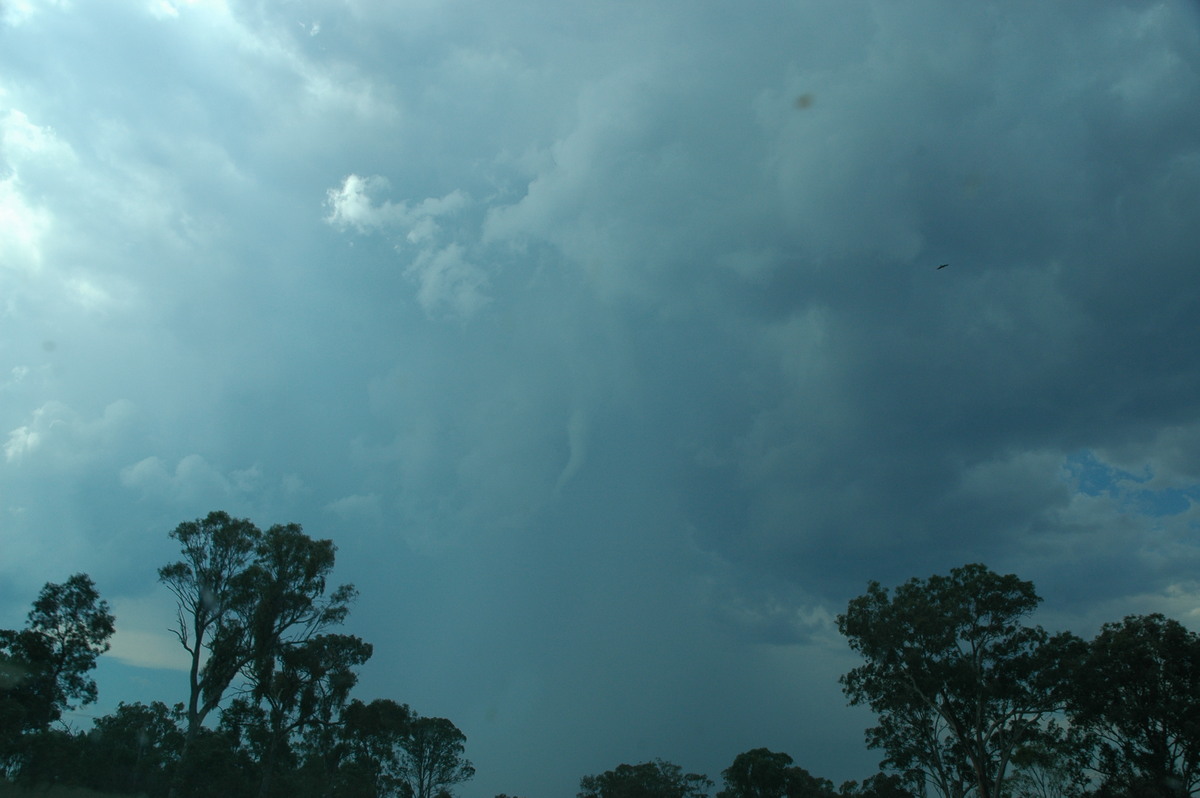 tornadoes funnel_tornado_waterspout : N of Tenterfield, NSW   24 November 2006