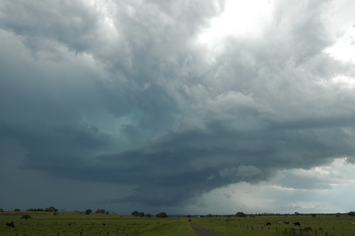 inflowband thunderstorm_inflow_band : McKees Hill, NSW   14 December 2006
