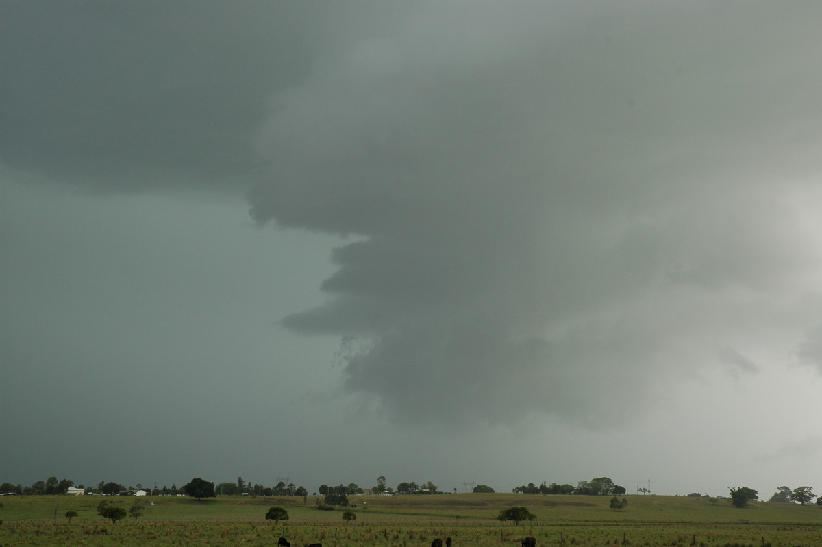 wallcloud thunderstorm_wall_cloud : McKees Hill, NSW   14 December 2006