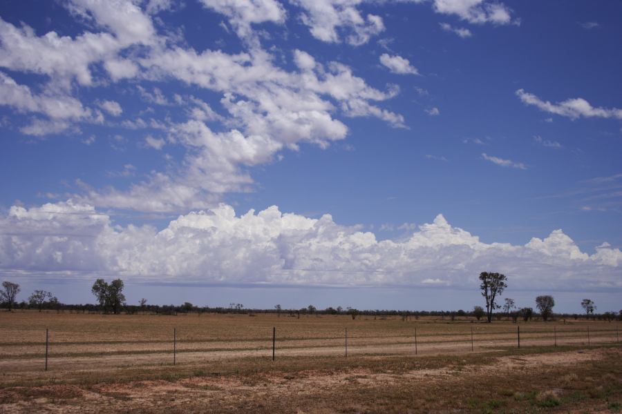 thunderstorm cumulonimbus_calvus : ~20km N of Barringun, NSW   2 January 2007