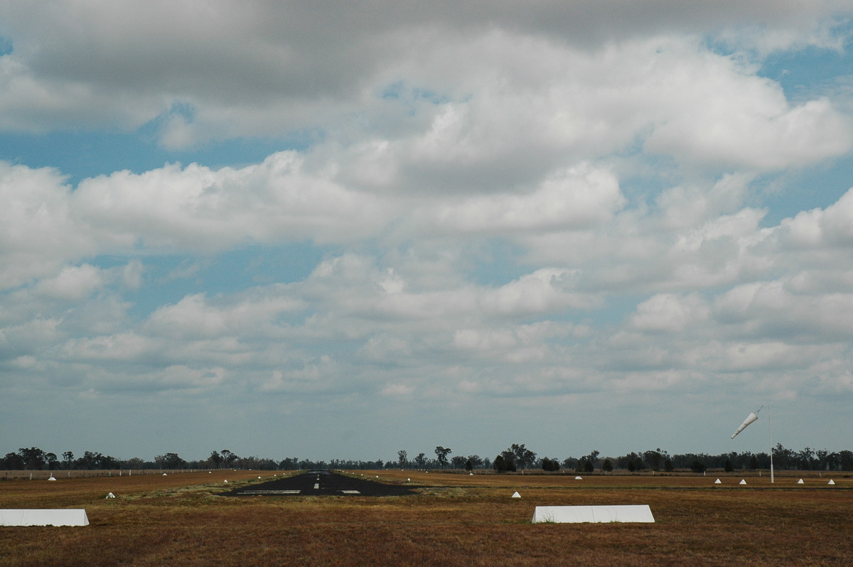 cumulus humilis : Milmerran, QLD   14 January 2007