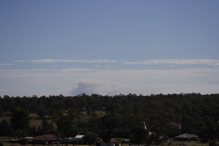 bushfire wild_fire : Schofields, NSW   22 January 2007