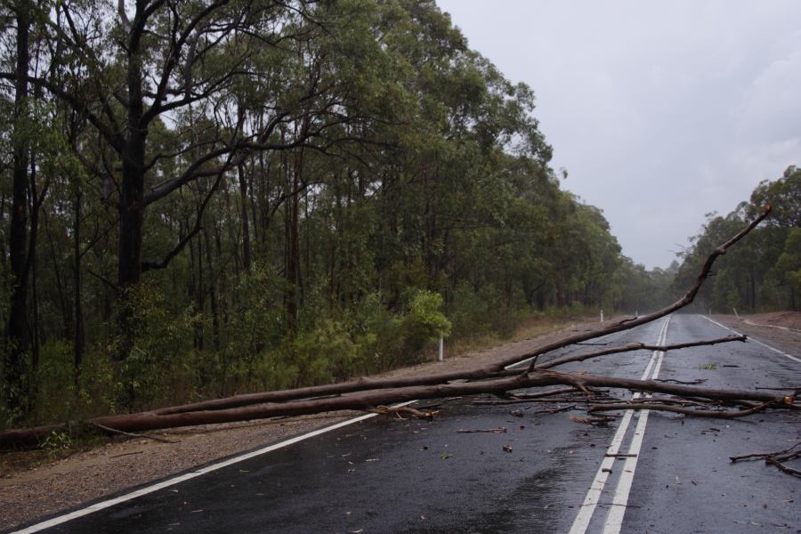 disasters storm_damage : ~10km N of Colo Heights, NSW   23 January 2007