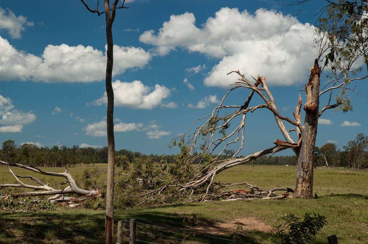 disasters storm_damage : Myrtle Creek, NSW   26 January 2007