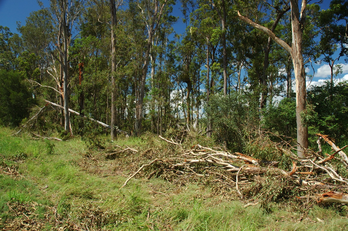 disasters storm_damage : Myrtle Creek, NSW   26 January 2007