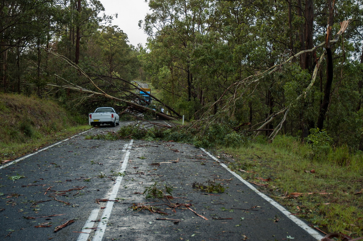 disasters storm_damage : Jackadgery, NSW   26 January 2007