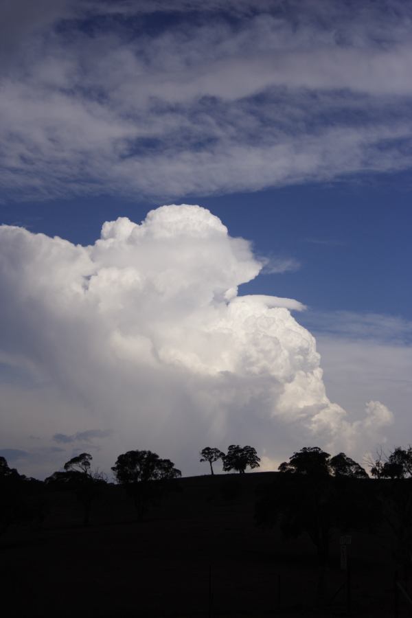 thunderstorm cumulonimbus_calvus : near Ilford, NSW   3 February 2007