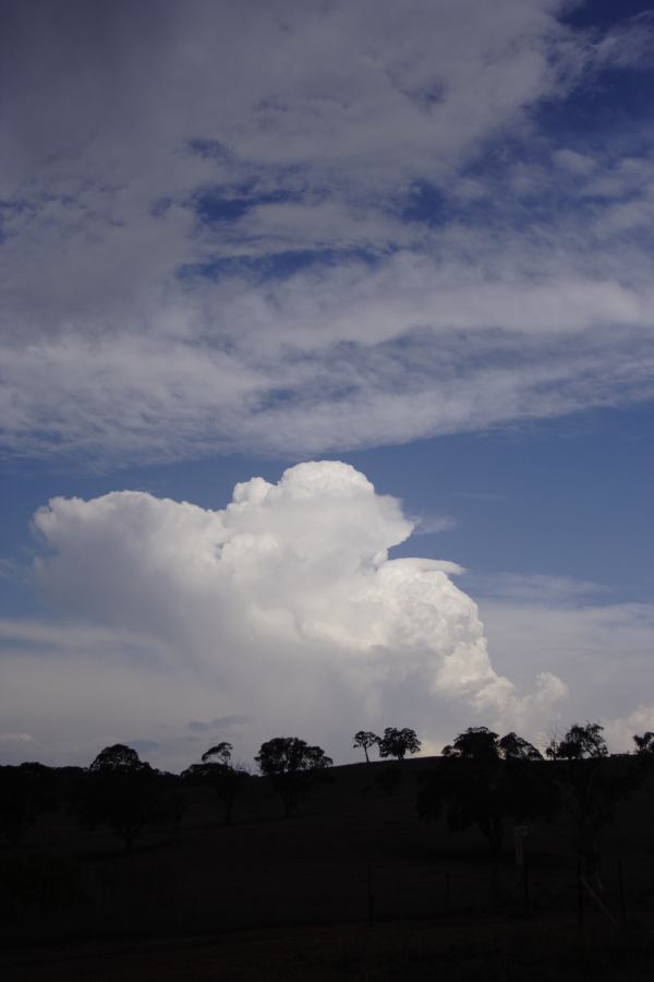 pileus pileus_cap_cloud : near Ilford, NSW   3 February 2007