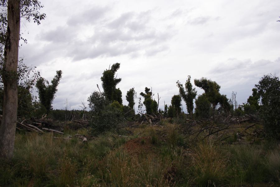 disasters storm_damage : 20km E of Coonabarabran, NSW   5 March 2007