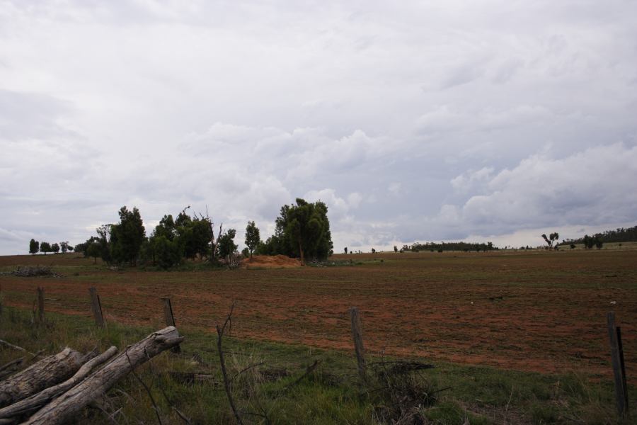 disasters storm_damage : 20km E of Coonabarabran, NSW   5 March 2007