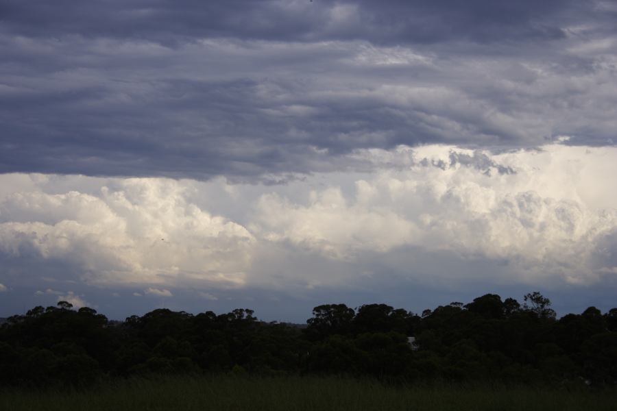 thunderstorm cumulonimbus_calvus : Rooty Hill, NSW   8 March 2007