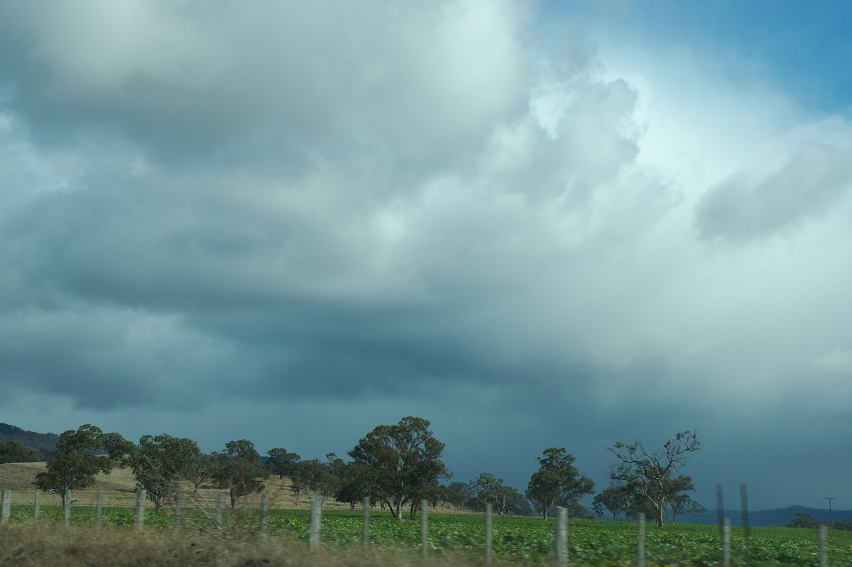 cumulus mediocris : near Glen Innes, NSW   8 July 2007