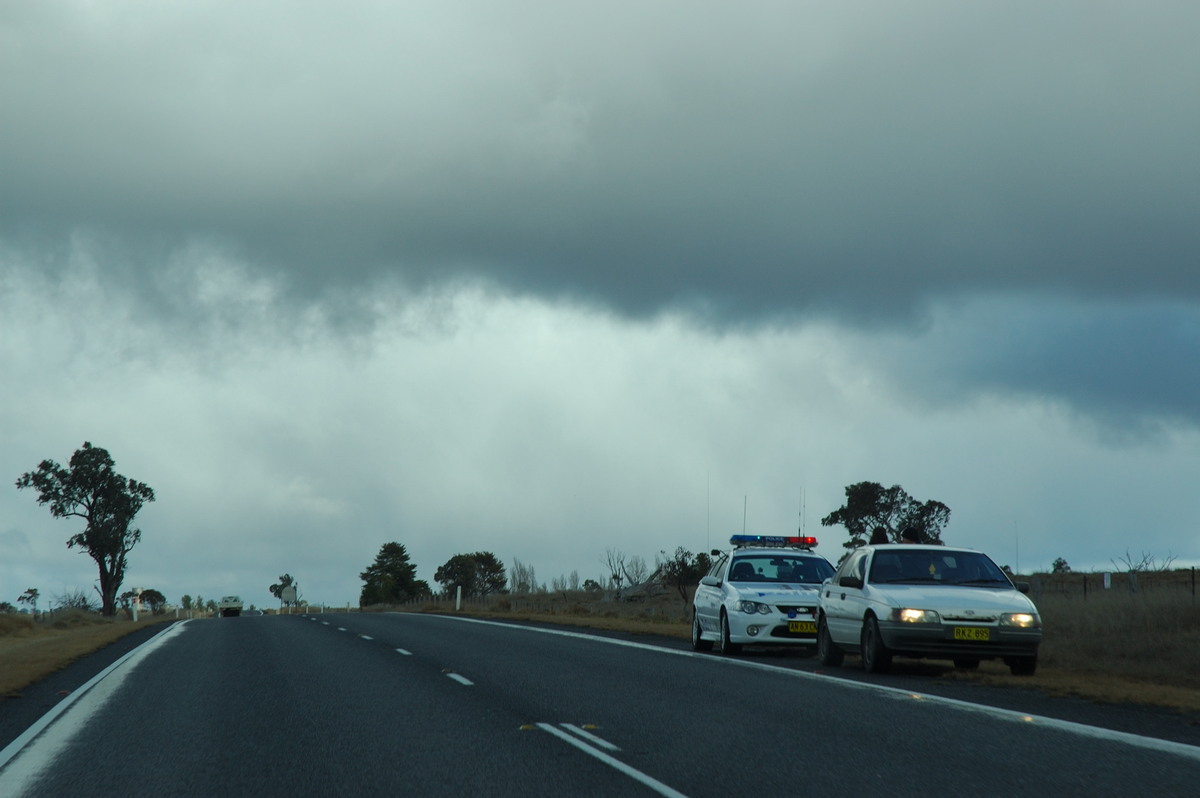 cumulus mediocris : near Glen Innes, NSW   8 July 2007