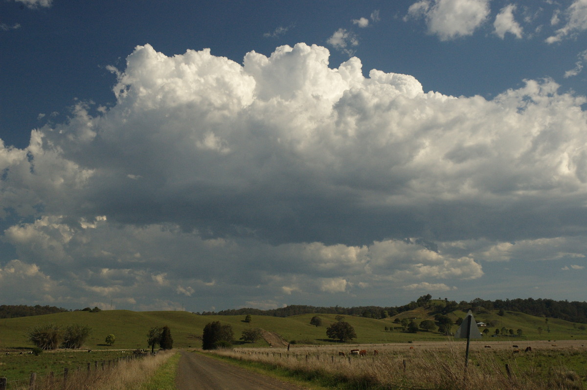 cumulus mediocris : near Kyogle, NSW   6 October 2007