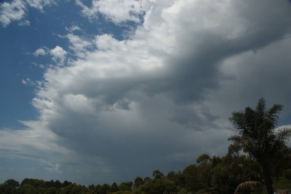 altocumulus altocumulus_cloud : McLeans Ridges, NSW   9 October 2007