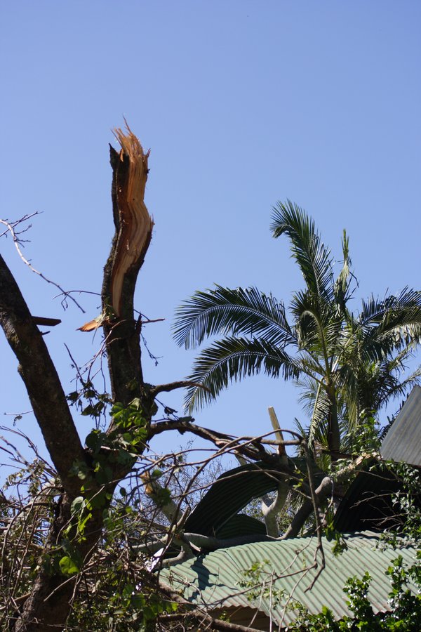 disasters storm_damage : Dunoon, NSW   27 October 2007