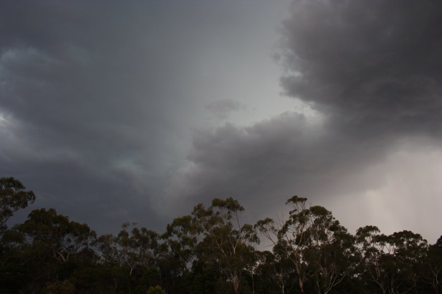 cumulonimbus thunderstorm_base : Marulan, NSW   17 November 2007