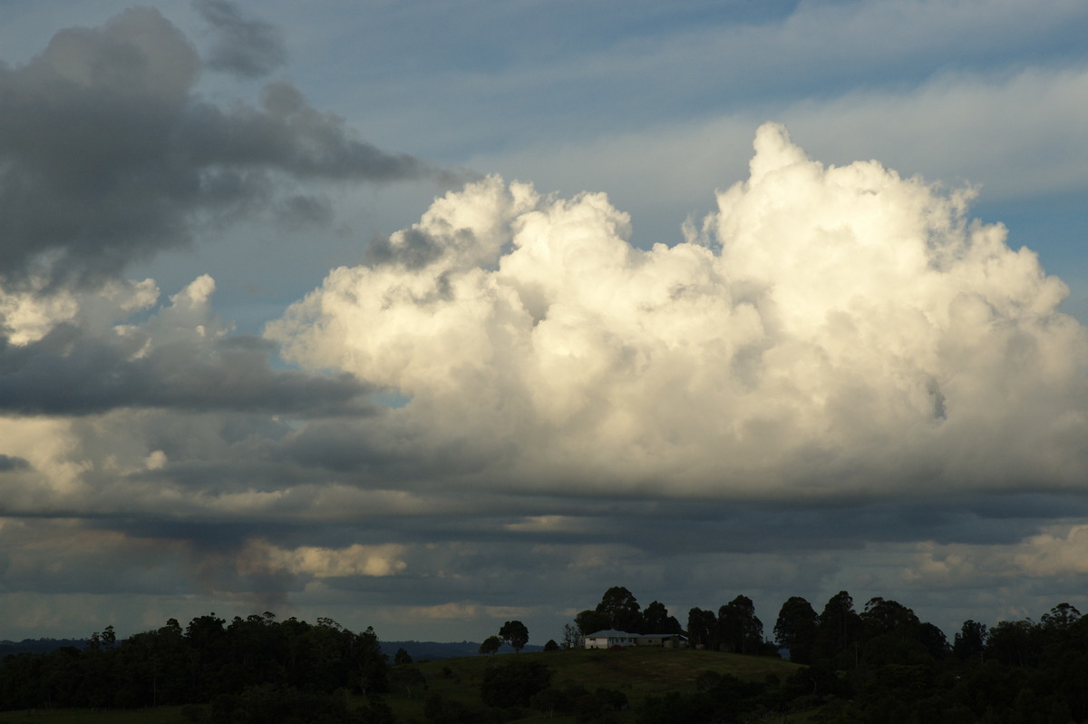 cumulus mediocris : McLeans Ridges, NSW   2 December 2007