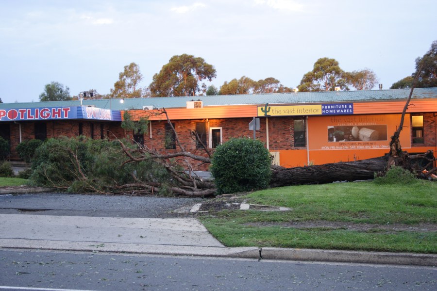 disasters storm_damage : Castle Hill, NSW   9 December 2007