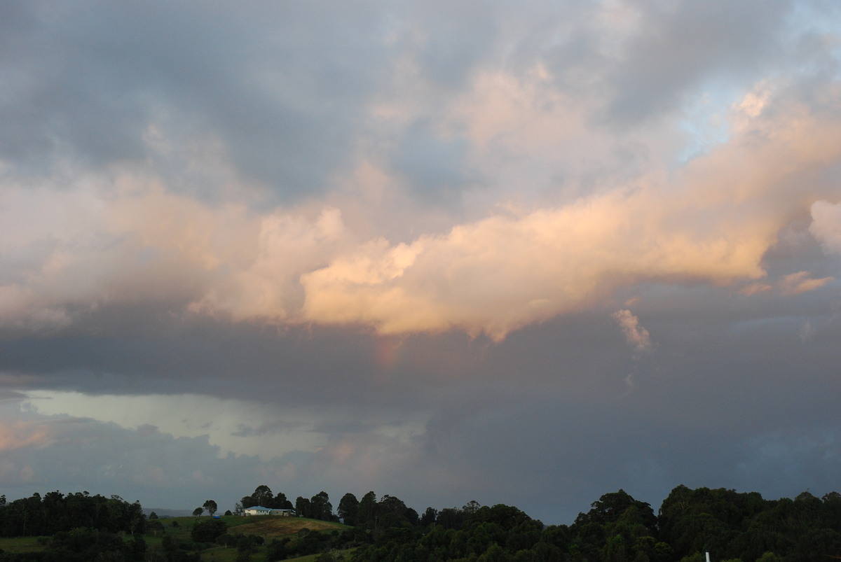 cumulus mediocris : McLeans Ridges, NSW   11 March 2008