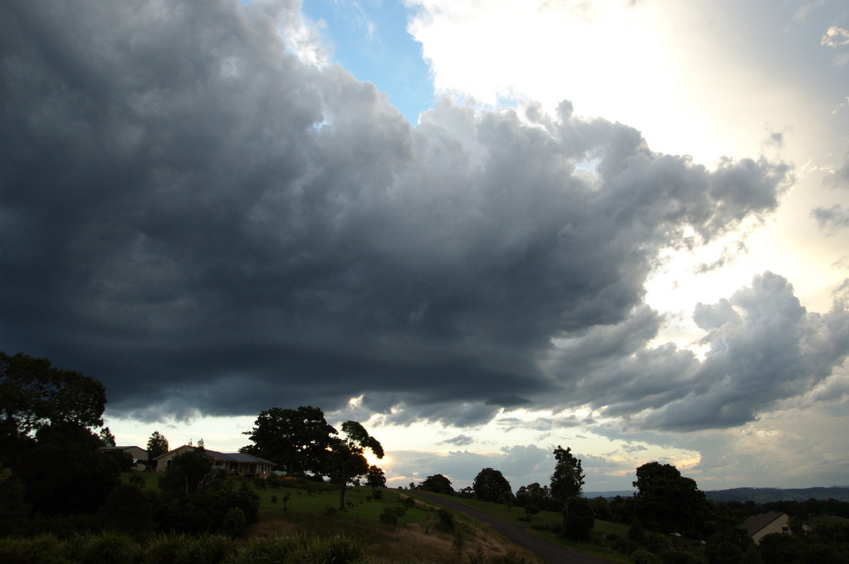 updraft thunderstorm_updrafts : McLeans Ridges, NSW   26 March 2008