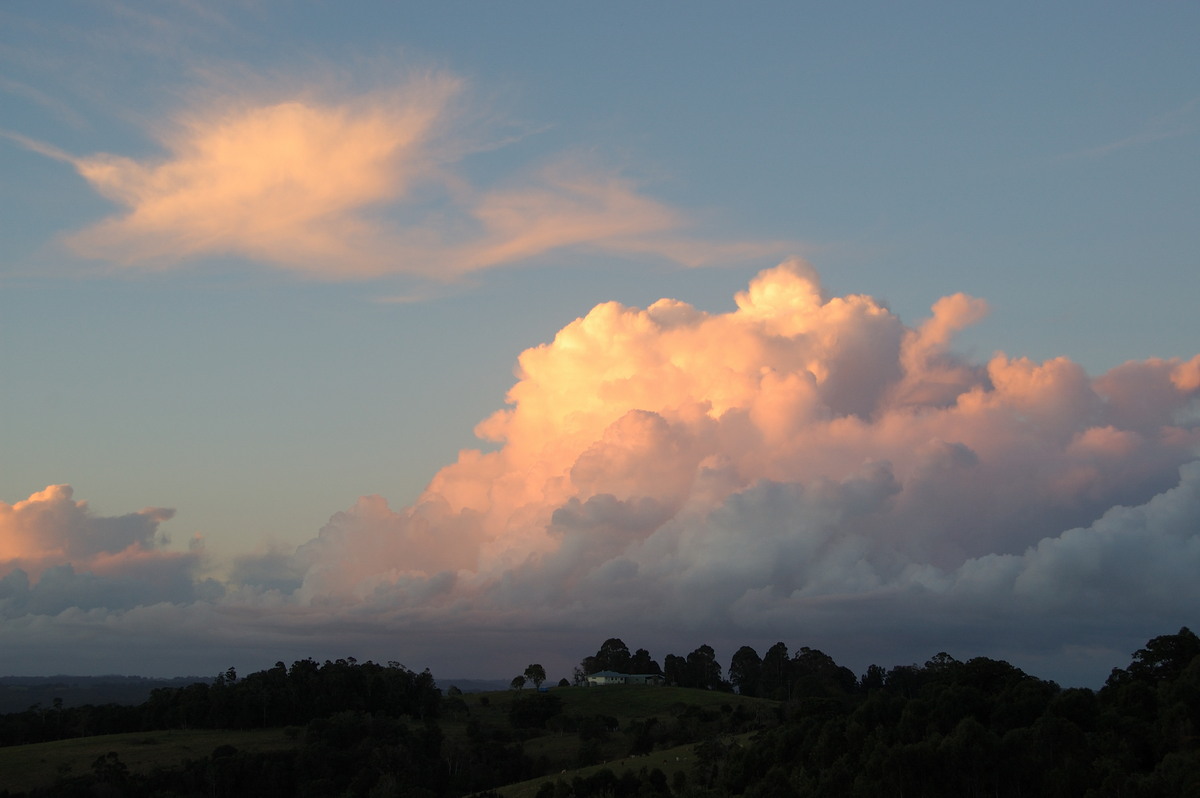 cumulus mediocris : McLeans Ridges, NSW   23 May 2008