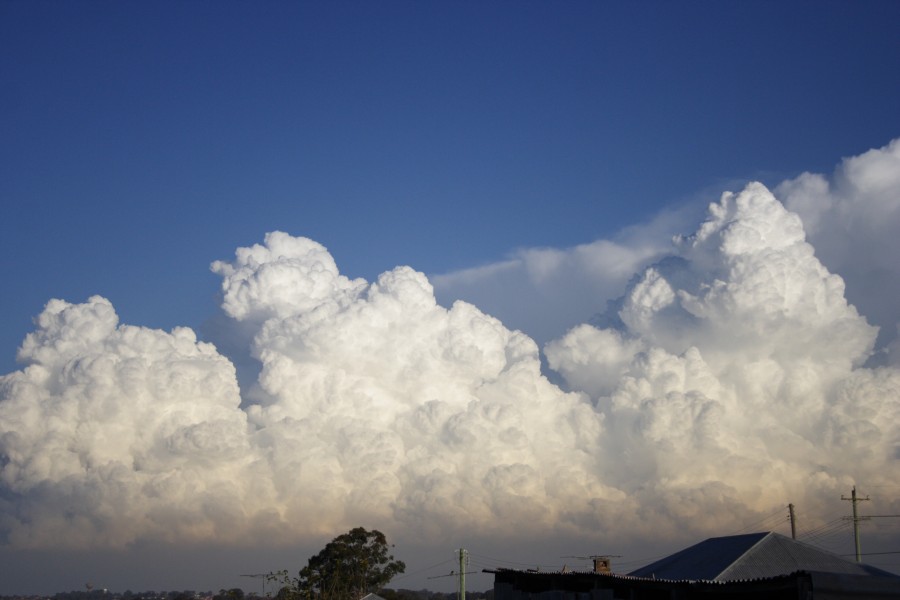 updraft thunderstorm_updrafts : Schofields, NSW   28 May 2008
